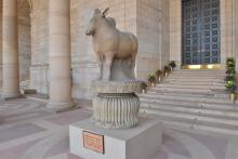 Rampurva Bull 3